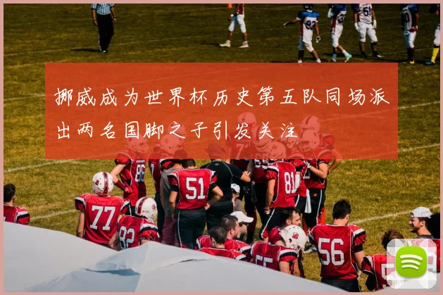 挪威成为世界杯历史第五队同场派出两名国脚之子引发关注